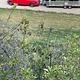 2019 Airstream RV Flying Cloud 25 Twin RV rental photo 1