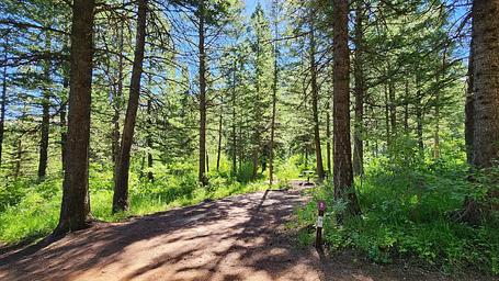 Scout Mountain Campground site 2