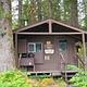 Eagle Lake Cabin brown cabin surrounded by green trees