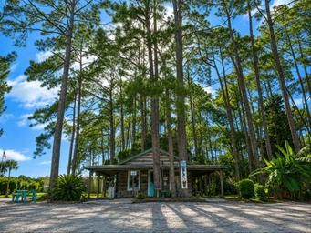 Small rustic welcome/office building set among tall pines — shows property reception/amenity building and landscaping.