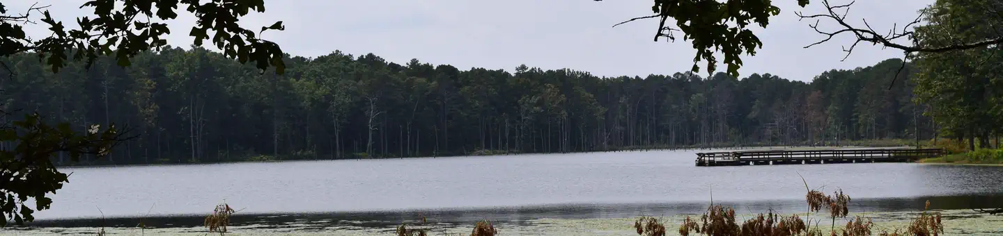 Pinewoods Lake Rec Area