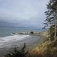 A sandy beach meets the Pacific Ocean at Kalaloch Campground as evergreen trees rise on the bluff above. A small, rocky point juts out into the ocean further along the coast.