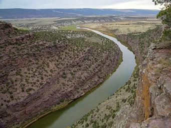 Green River 