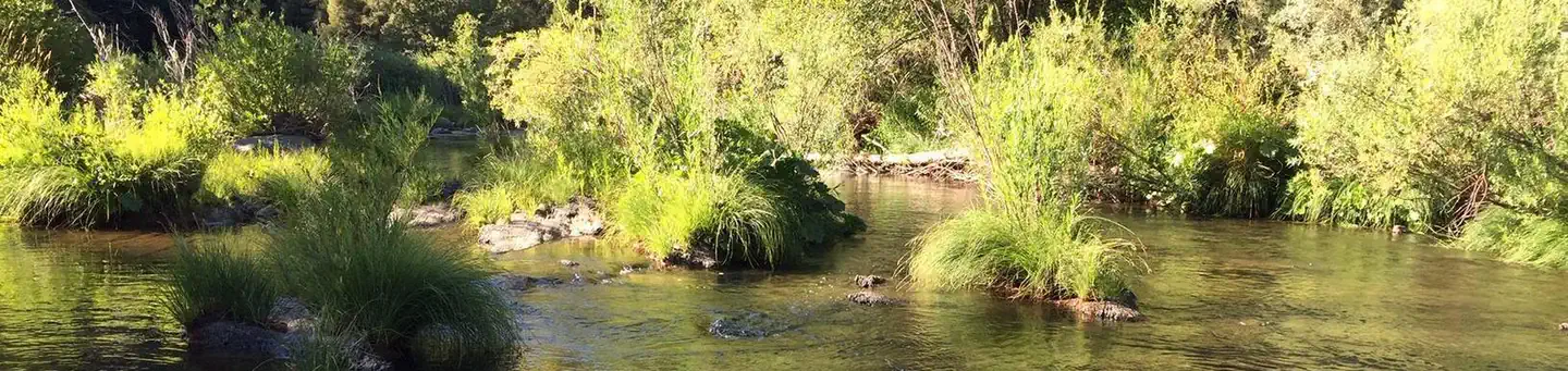 Spanish Creek Campground