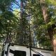 2021 Forest River Sunseeker Luxury RV