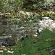 Chalk Creek