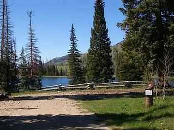 Potters  Pond 