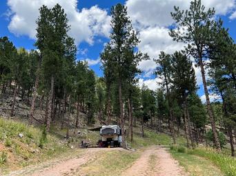 Kemp's Kamp