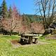 Look Lake Day Use picnic table on a sunny, blue sky day.