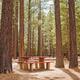 Tahoe Valley Campground