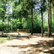 Grassy tent site among trees with picnic table and fire pit — represents the park’s tent/no-hookup campsites and tree-shaded camping areas shown on the site.