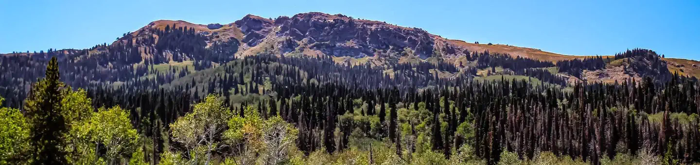 Bountiful Peak Campground