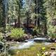 Riverside cabin view: shows a cabin set among pines above a clear, flowing creek on the property (visual match to site gallery; from homepage). Good overall scenic/property context.
