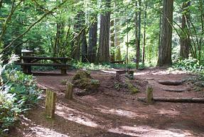 Moss Creek Campground