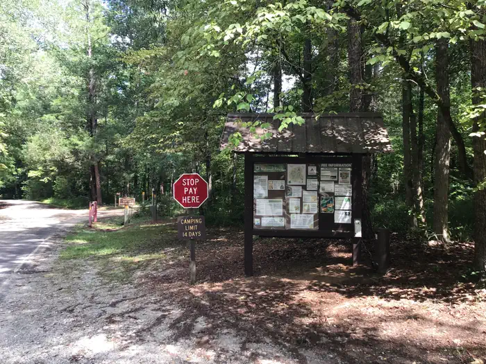 Woods Ferry Campground (SC)