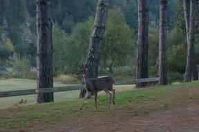 Rivers Edge RV Park
