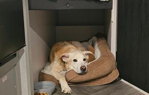 Cute & Clean Camper W/ Sleep Number in Muskegon
