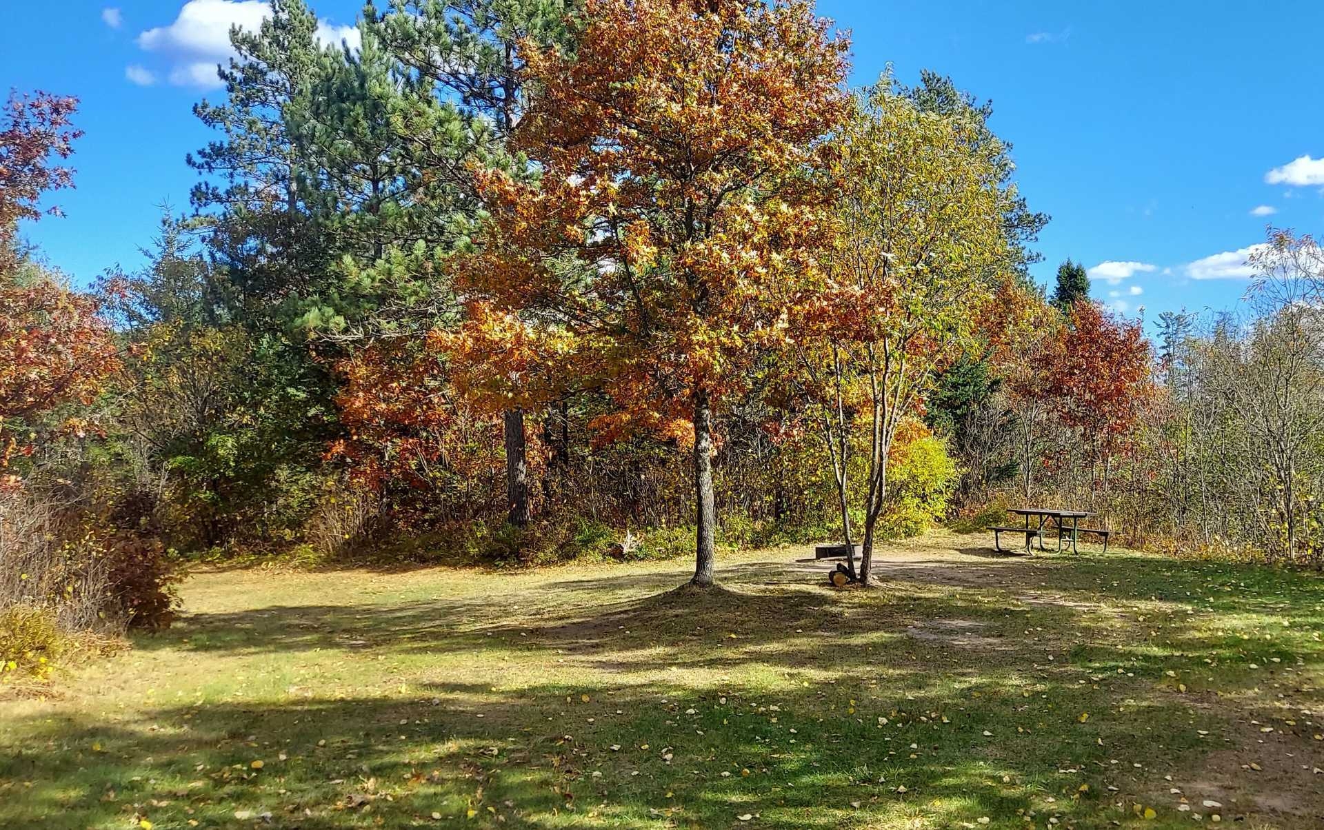 Tamarack Springs Campground