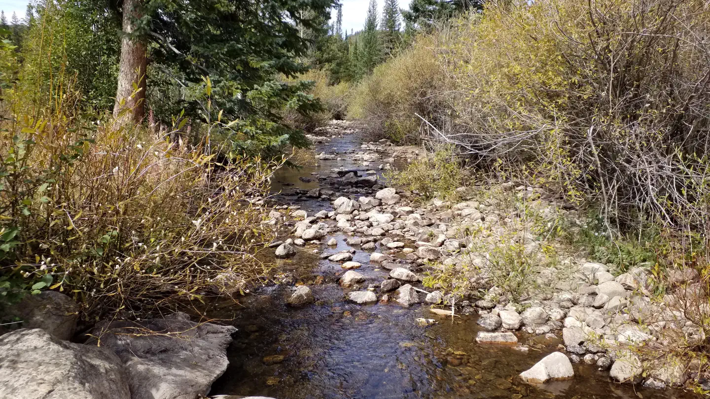 Pine Campground (WY)
