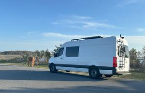 Mermaid - 2021 Mercedes-Benz Sprinter