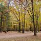 Campspot slideshow image 1