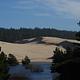 Shore pines and blue lake with sand dunes and conifer covered hills in background.