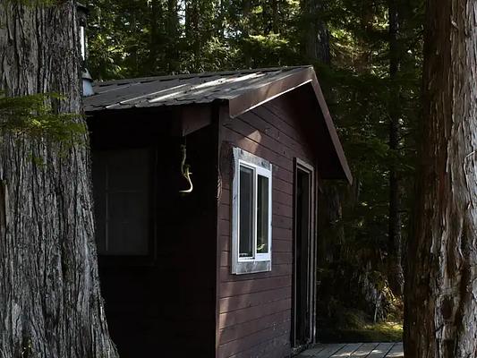 T09, Loop: AREA SALMON BAY LAKE CABIN