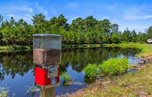 Fins and Feathers Retreat! Site Included! Hot tub!