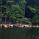 A row of jet skis docked on a lake with a forested background.