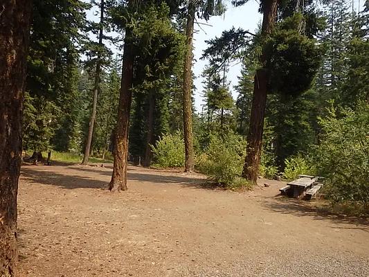 001, Loop: AREA PINE NEEDLE GROUP SITE
