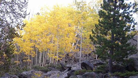 Lost Cabin Campground