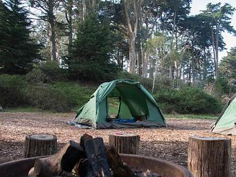 One green tent with trees in the background