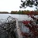 Sailor Lake fall colors.