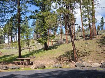 Campsite at Perry South
