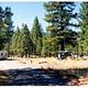 CHRISTIE CAMPGROUND