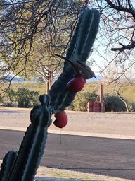 North Ranch RV Park