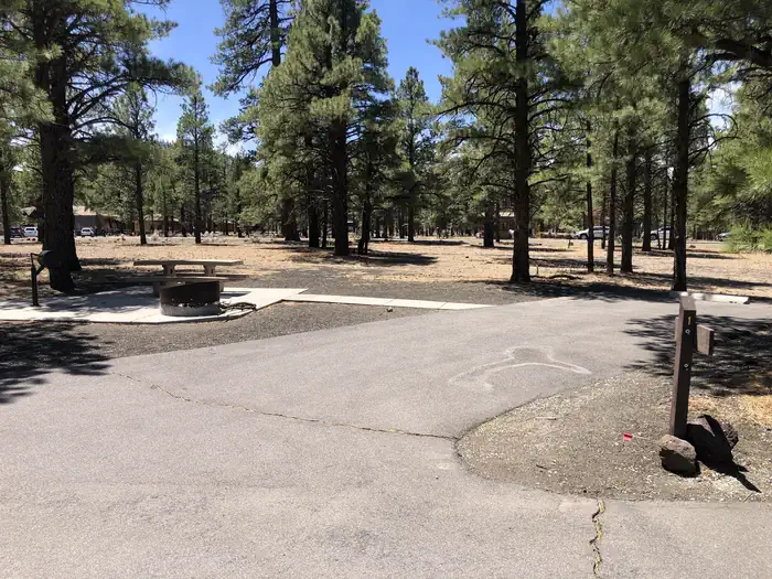Bonito Campground (AZ)