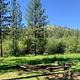 Pattee Picnic Site Fire Ring
