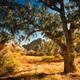Pinnacles National Park Campground