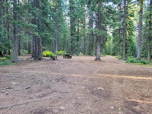 001, Loop: AREA FISH CREEK GROUP USE