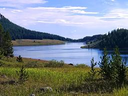Lakeview Bighorn