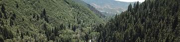 Bear Canyon