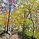 A walkway with railing and colorful trees along the side.