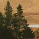 Small lake reflecting conifer trees and sand dunes.