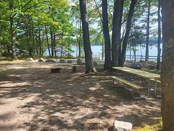 GOOSENECK LAKE CAMPSITE 1