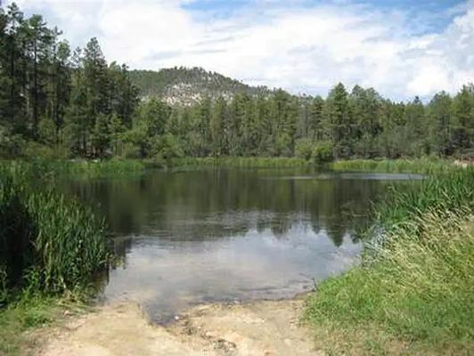 CABIN, Loop: HORSETHIEF