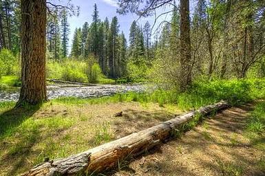Gorge Campground