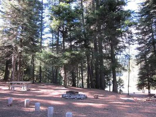 001, Loop: AREA SOUTH FORK GROUP SITE