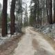 A picture of part of the road to Yosemite Creek Campground
