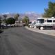 Encore Palm Springs Oasis